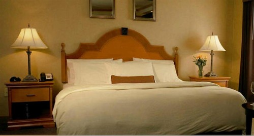 Ambassador Hotel - image 41