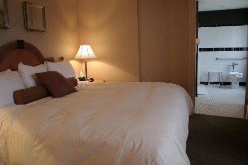 Ambassador Hotel - image 6