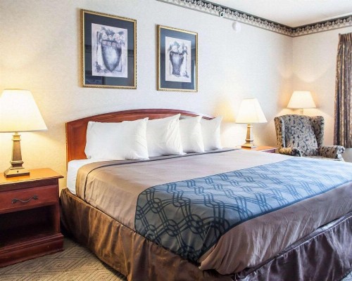 Rodeway Inn & Suites Milwaukee Airport - image 2