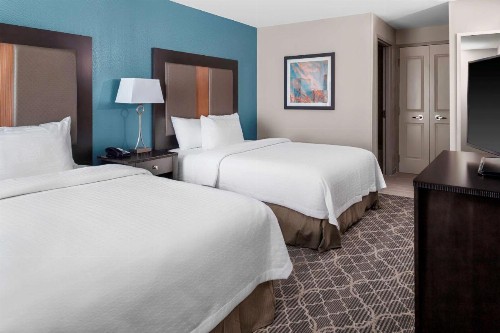 Homewood Suites By Hilton Wauwatosa Milwaukee - image 3