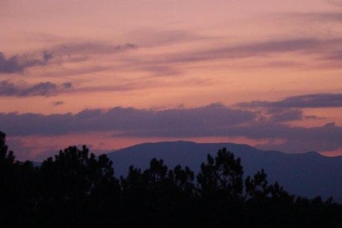 Eagles Breeze - image 10