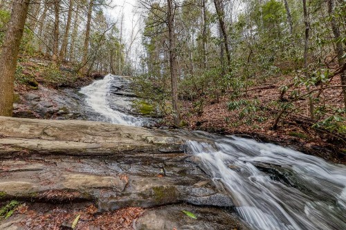 Wildwood River Retreat - image 7