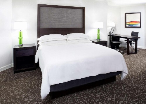 Hilton Minneapolis-St Paul Airport - image 13