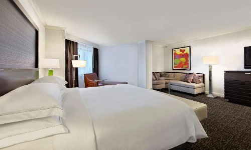 Hilton Minneapolis-St Paul Airport - image 16