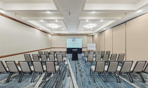 DoubleTree by Hilton Minneapolis Park Place - image 47