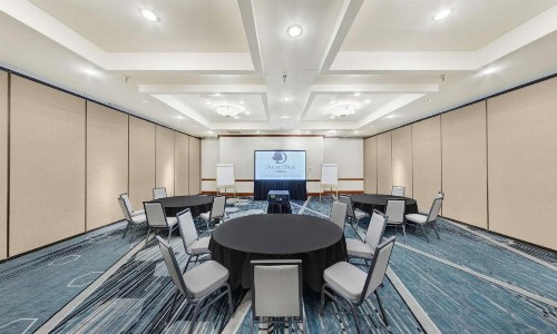 DoubleTree by Hilton Minneapolis Park Place - image 49