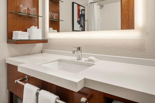 Delta Hotels by Marriott Minneapolis Northeast - image 9