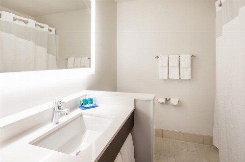 Holiday Inn Express Hotel & Suites Minneapolis-Downtown Convention Center an IHG Hotel - image 39