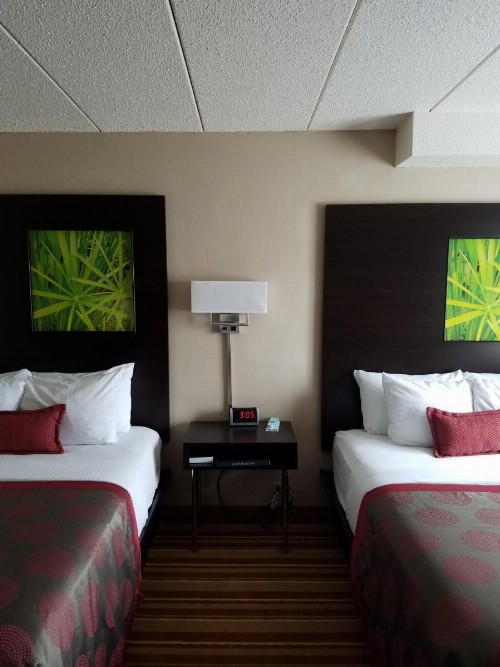 Ramada by Wyndham Minneapolis Golden Valley - image 12