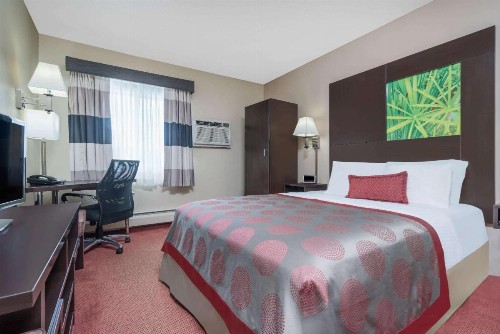 Ramada by Wyndham Minneapolis Golden Valley - image 13