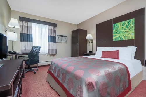Ramada by Wyndham Minneapolis Golden Valley - image 15
