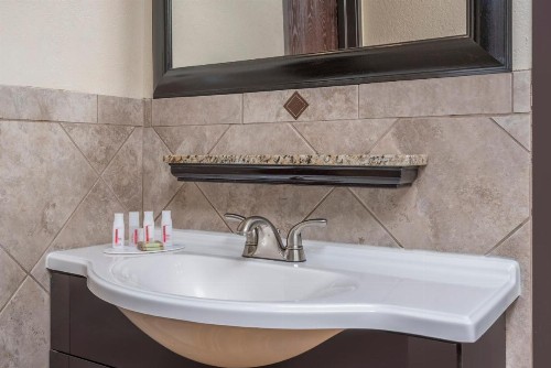 Ramada by Wyndham Minneapolis Golden Valley - image 28