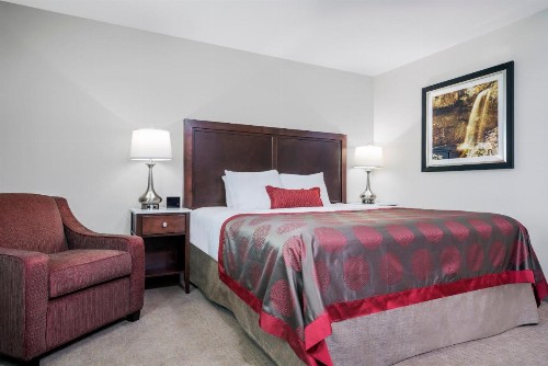 Ramada by Wyndham Minneapolis Golden Valley - image 8