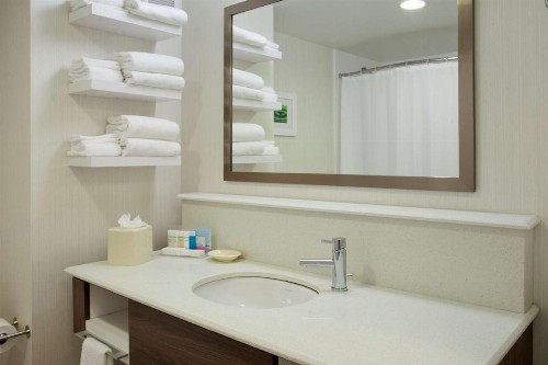 Hampton Inn & Suites - Minneapolis/Downtown - image 29