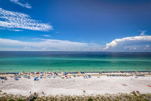 Majestic Sun 904A Miramar Beach (Condo) - image 7