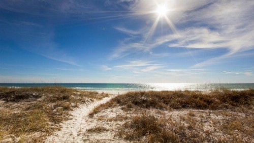 Another Slice of Paradise - image 25