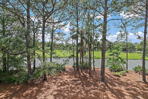 Turnberry 8519 - image 34