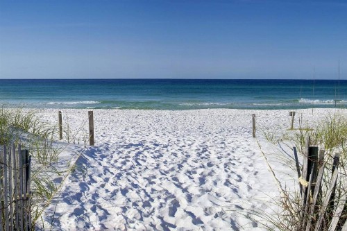 Beach Manor 508 - image 20