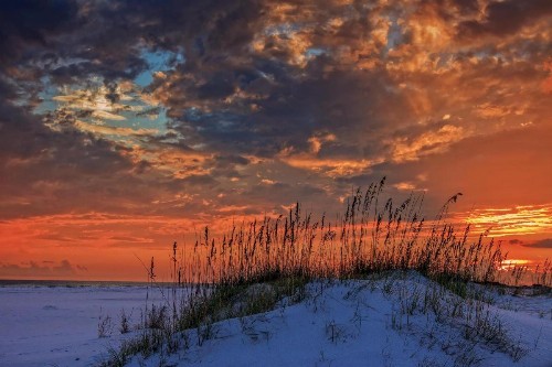 Beachwalk Villa 5087 - image 17