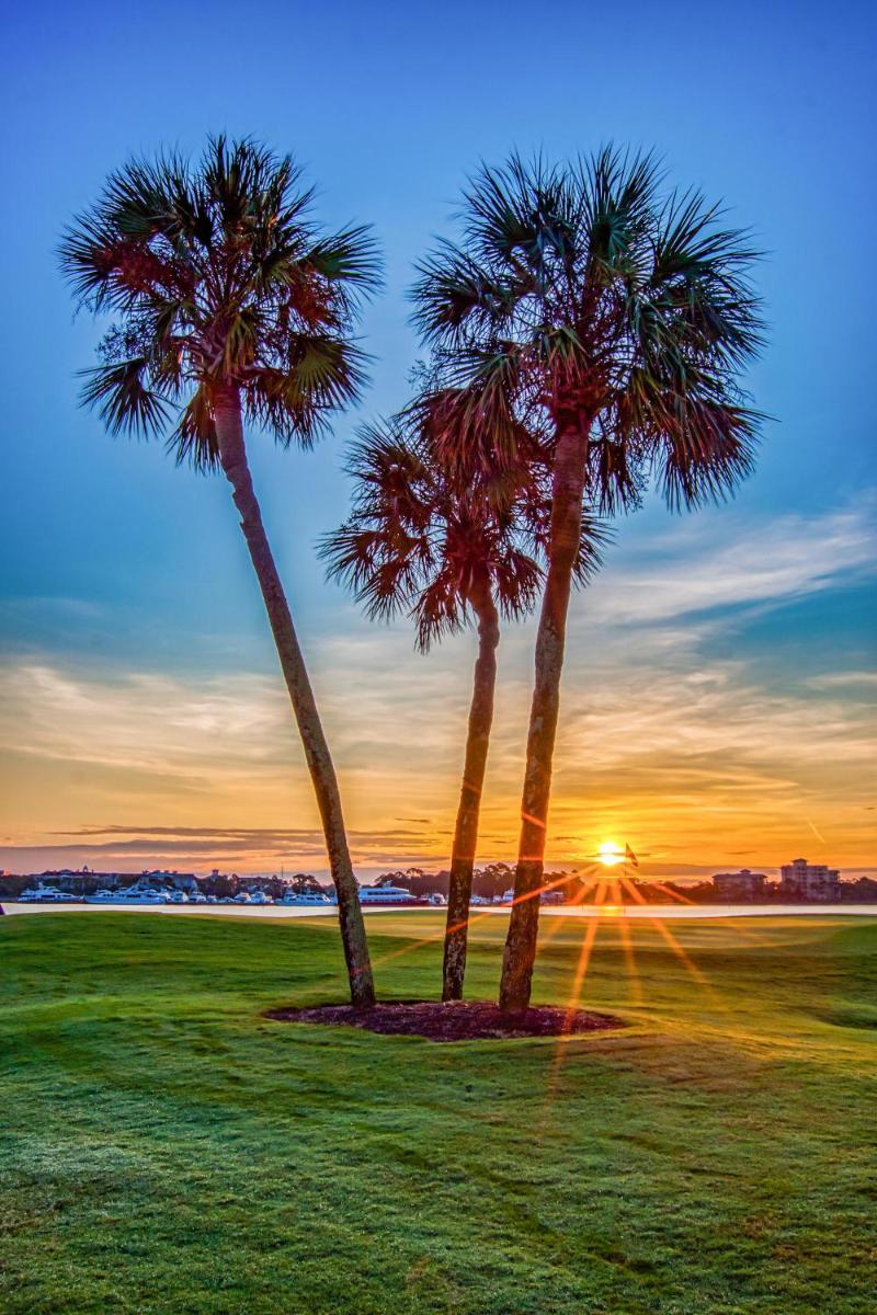 Turnberry 8511 - image 6