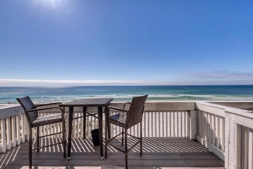 Sand Dollar - image 1