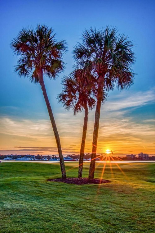 Grand Sandestin 2301 flr3 2BR 2BA 6 - image 14