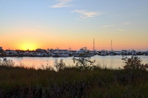 Magnolia Bay 8598 - image 23