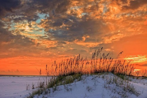 Beachside One 4016 N - image 29