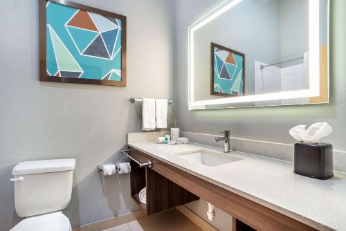 Comfort Inn - image 22