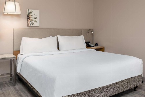Hilton Garden Inn Ft. Lauderdale SW/Miramar - image 20