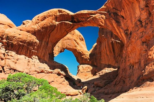 Adventurer's Delight - image 6