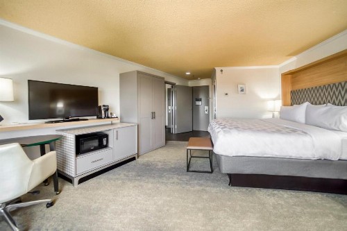 Holiday Inn Mobile Downtown Historic District an IHG Hotel - image 21