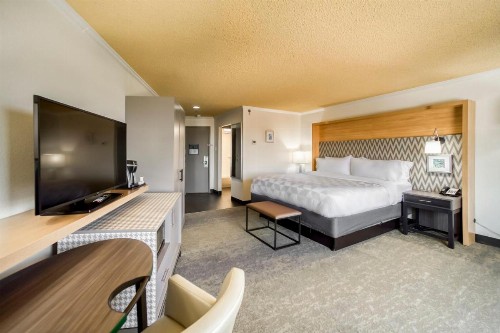 Holiday Inn Mobile Downtown Historic District an IHG Hotel - image 24
