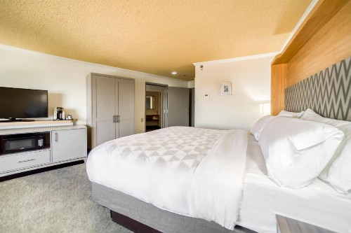 Holiday Inn Mobile Downtown Historic District an IHG Hotel - image 33