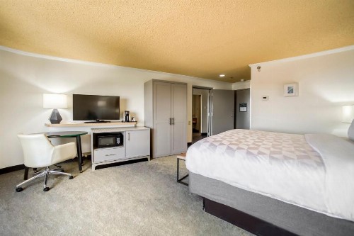 Holiday Inn Mobile Downtown Historic District an IHG Hotel - image 46