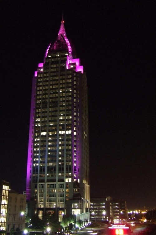 Homewood Suites by Hilton Mobile - image 15