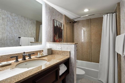 Renaissance Mobile Riverview Plaza Hotel - image 19