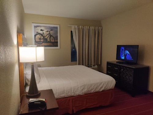Days Inn by Wyndham North Mobile - image 12