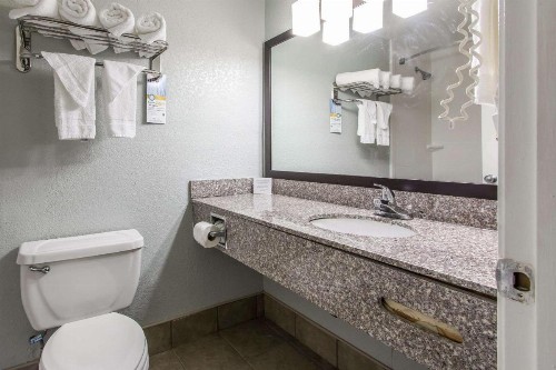 Quality Inn Downtown Historic District - image 3
