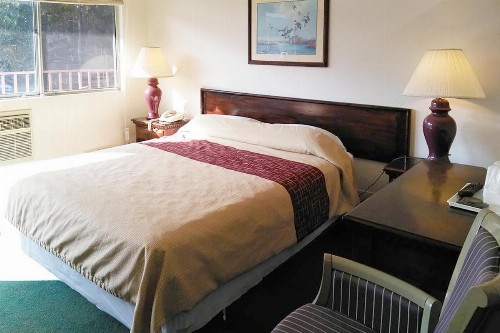 Port City Motel - image 9