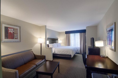 Holiday Inn Express Hotel & Suites Mobile West an IHG Hotel - image 14