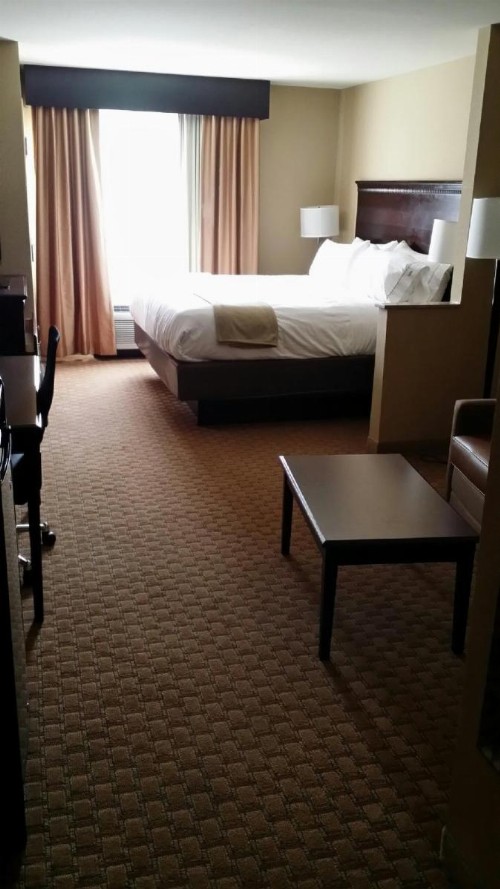 Holiday Inn Express Hotel & Suites Mobile West an IHG Hotel - image 16