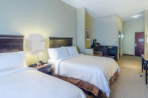 Holiday Inn Express Hotel & Suites Mobile West an IHG Hotel - image 22