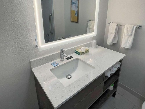 Holiday Inn Express Hotel & Suites Mobile West an IHG Hotel - image 25