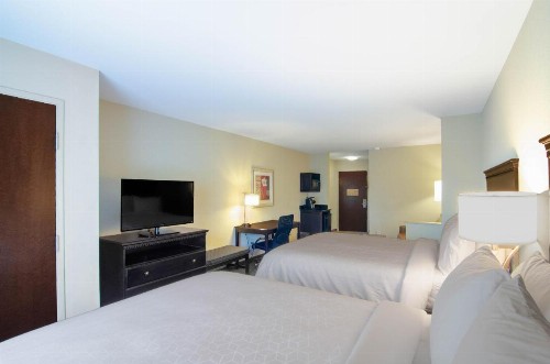 Holiday Inn Express Hotel & Suites Mobile West an IHG Hotel - image 32
