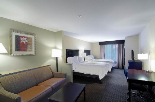 Holiday Inn Express Hotel & Suites Mobile West an IHG Hotel - image 33