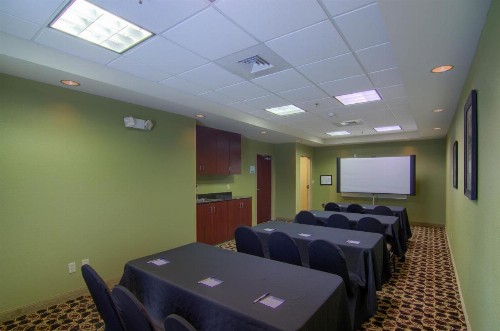 Holiday Inn Express Hotel & Suites Mobile West an IHG Hotel - image 41