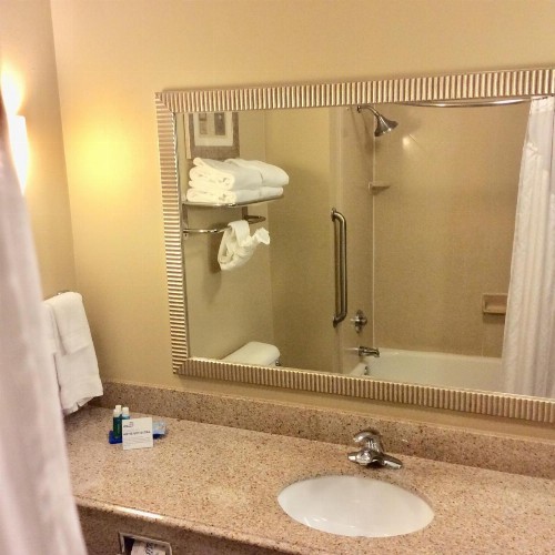 Holiday Inn Express Hotel & Suites Mobile West an IHG Hotel - image 42
