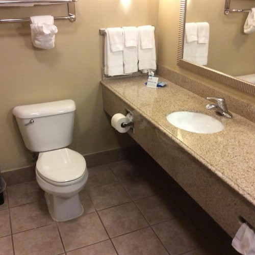 Holiday Inn Express Hotel & Suites Mobile West an IHG Hotel - image 44