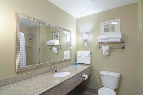 Holiday Inn Express Hotel & Suites Mobile West an IHG Hotel - image 46